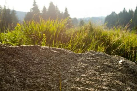 Stone, grass and trees Stock Photos
