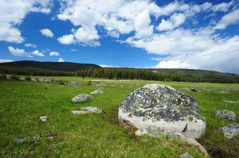 Stone in grass field Stock Photos