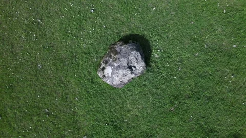 Stone in the grass Stock-Footage 155599124