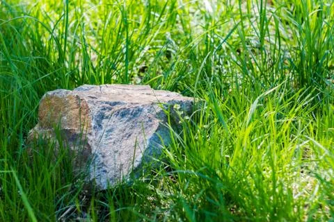 Stone in the grass in nature Stock Photos
