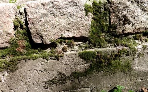 Stone gray extruding bricks with old green rustic moss grass Stock Photos