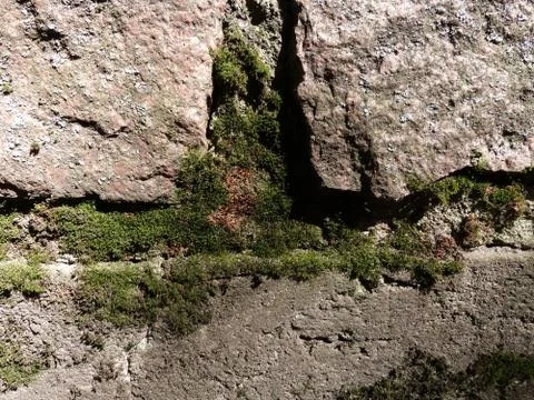 Stone gray extruding bricks with old green rustic moss grass Stock Photos