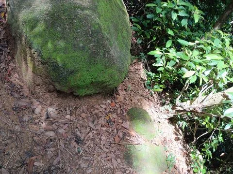 Stone with green moss Stock Photos