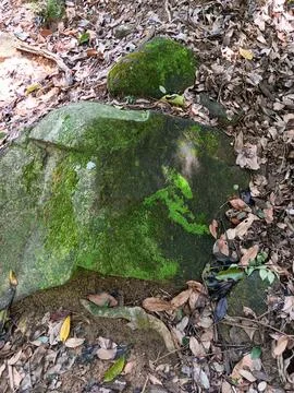 Stone with green moss Stock Photos