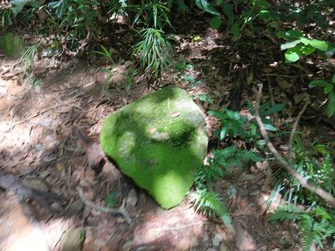 Stone with green moss Stock Photos