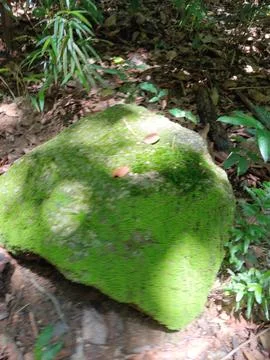Stone with green moss Stock Photos