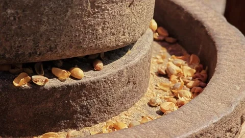 Stone grinding the yellow coffee bean to peel the silk shell. Silk Shellon. Stock Footage 304647318