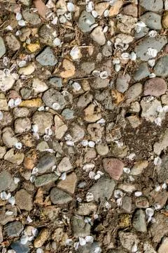 Stone Ground Background and Texture Stock Photos