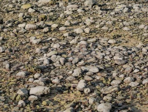 Stone ground floor surface background for texture Foto stock