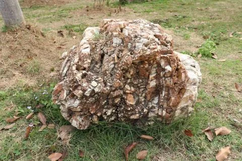 Stone on ground Stock Photos