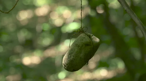 Stone hanging on a wire at the Open Air Museum in Sibiu Stock Footage 53505315