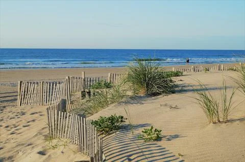 Stone Harbor dunes Stock Photos