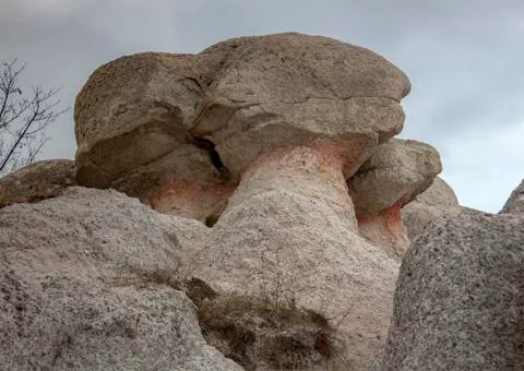 The Stone Head of the Elephant. Stock Photos