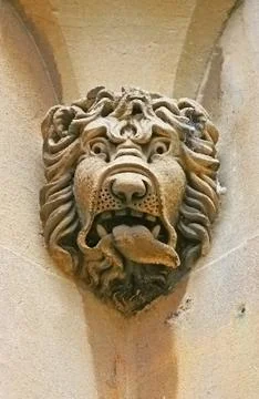 Stone head lion Stock Photos