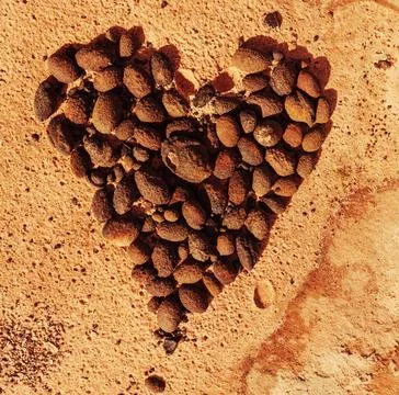 Stone heart Stone stacked in shape of heart in the beautiful sandstone mou... Foto stock