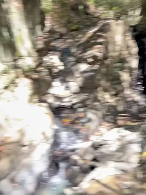 Stone Hiking Trail Through Lush Forest with Signs Stock Footage 341267408