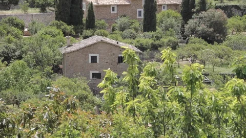 Stone houses surrounded by trees Stock Footage 127870149