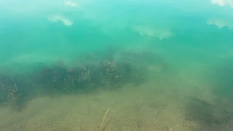Stone Impact Creating Ripples and Splashes in Clear Turquoise Water Stock Footage 337551406