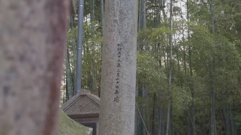 Stone Inscriptions 스톡 동영상 316065879