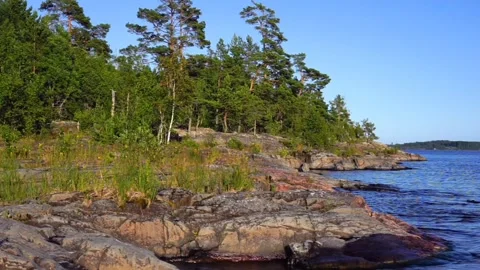A stone island overgrown with forest Stock Footage 314309208