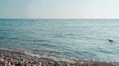 Stone jumping in the sea Stock Footage 94929953