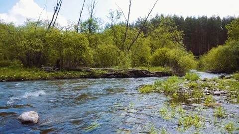 The stone jumps on the surface of the water of a mountain river Stock Footage 111570181
