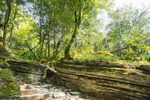 "Stone labyrinth" formed by ancient tectonic fault, in the yew-boxwood grove Stock Photos