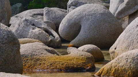 The stone lagoon. 動画素材 94600348