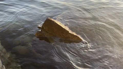 Stone in the lake, in the evening Stock Footage