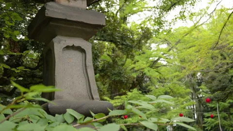 Stone Lantern Among Lush Green Trees in Sacred Garden Видео 344785631