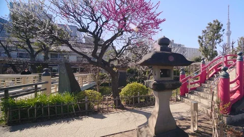 Stone lantern and arch bridge in Kameido Tenjin Shrine with the Tokyo Skytree Video stock 129081242