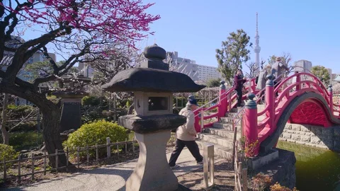 Stone lantern and arch bridge in Kameido Tenjin Shrine with the Tokyo Skytree Stock-Footage 129081461