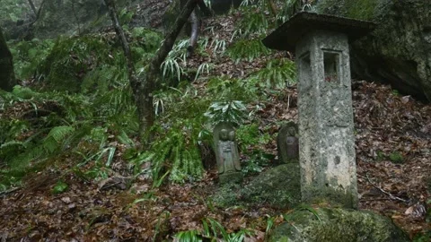 Stone lantern and Buddharupa statues Stock Footage 150359624