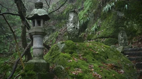 Stone lantern and Buddharupa statues 動画素材 150359677