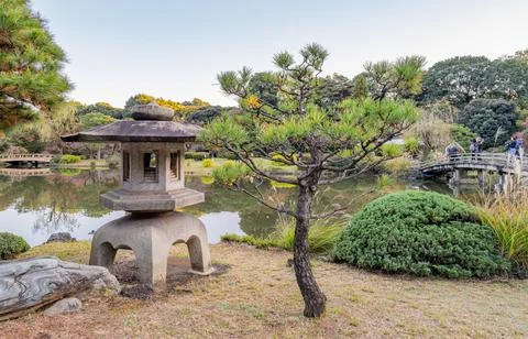 Stone Lantern and Pine Tree at Pond in Japanese Garden Stock-Fotos
