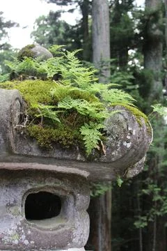 Stone lantern with moss Stock Photos