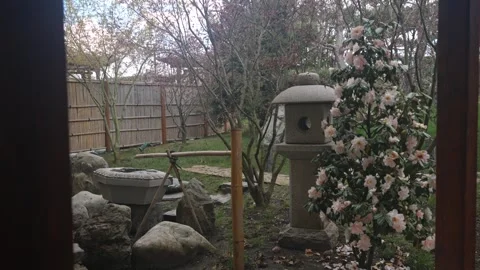 Stone Lantern Pink Blossoms Framed By Doorway 動画素材 335950412