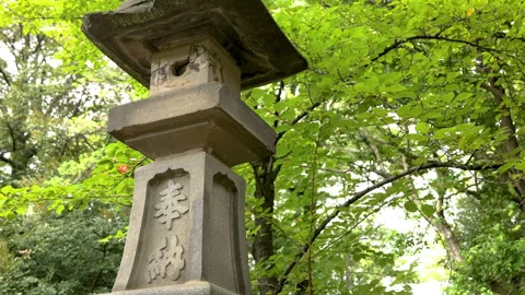 Stone Lantern Standing in Lush Green Garden Shrine Видео 344785627