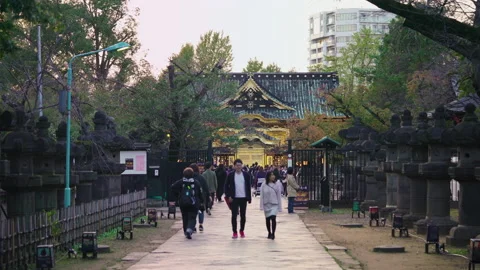 Stone lanterns along the path leading to golden Ueno Tosho-gu shrine. Vídeo Stock 152232864