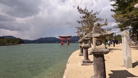 Stone Lanterns and Floating Torii Gate View Stock Footage 311856226