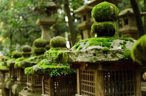 Stone lanterns in Nara Stock Photos