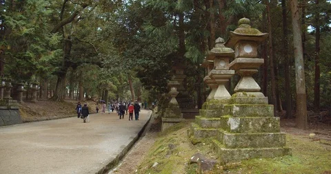 Stone lanterns path leading to Kasuga Shrine in Nara, Japan. (A) Stock Footage 120747405