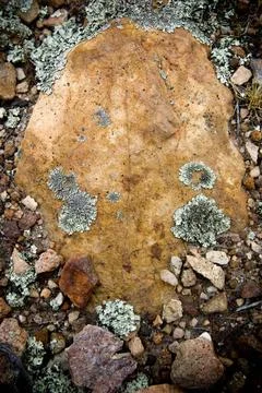 Stone Large stone in the ground with smaller rocks and lichen Copyright: x... Stock-Fotos