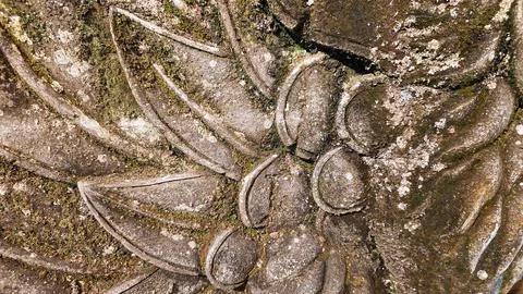 A stone with a leafy design on it Stock Photos