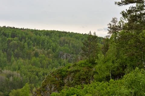 Stone ledges of a high cliff with young cedars against the backdrop of dens.. Stock-Fotos