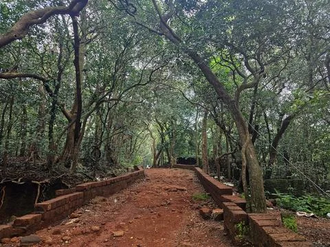 Stone-lined walking trail passing through thick woodland in Matheran Stock Photos