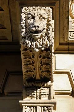 Stone lion head Stock Photos
