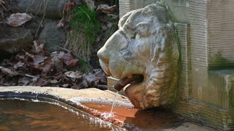 Stone lion head spouting water into garden basin in park Vídeos de archivo 331593488