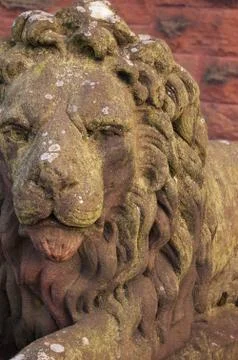 Stone Lion Stockfoto's