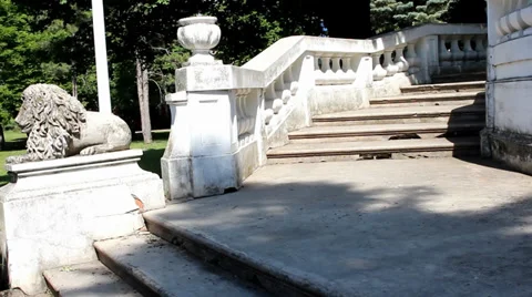 Stone lion sculpture. Camera movement Video stock 34754913